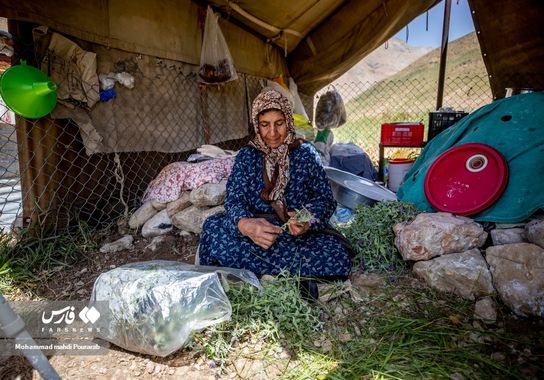 عشایر دشت لار | تصویر 11